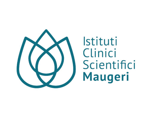 icsm-logo